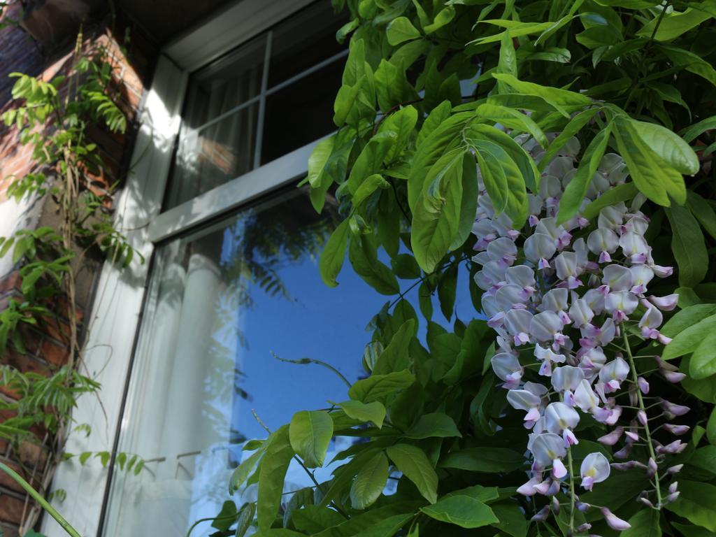 Apartmán Studio Elisabeth Bruggy Exteriér fotografie